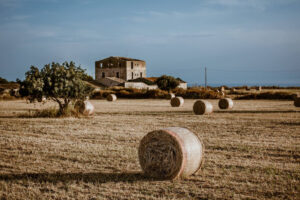 Experiences at Palazzo Antoci - Ragusa Sicily